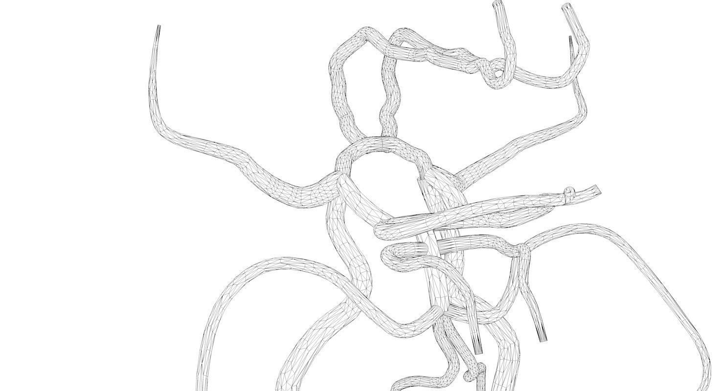 Circle Of Willes Blood Supply Of Brain 3d Model 3D model_36