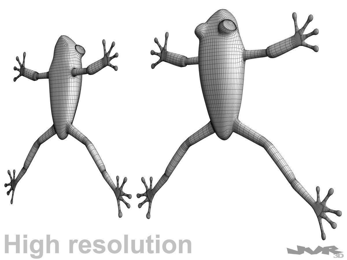 Agalychnis Callidryas - Tree frog 3D model_3