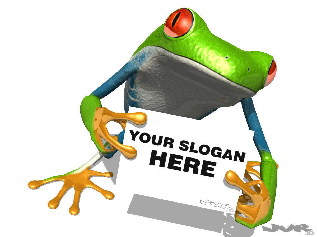 Agalychnis Callidryas - Tree frog 3D model_4