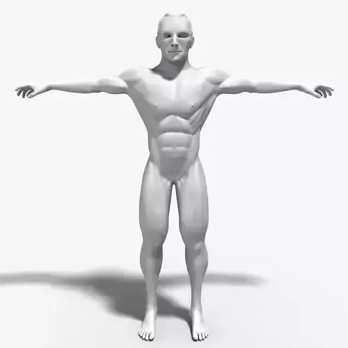 Muscless Man Sceleton 3D model