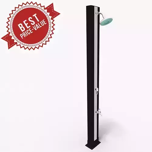 Shower pole with head