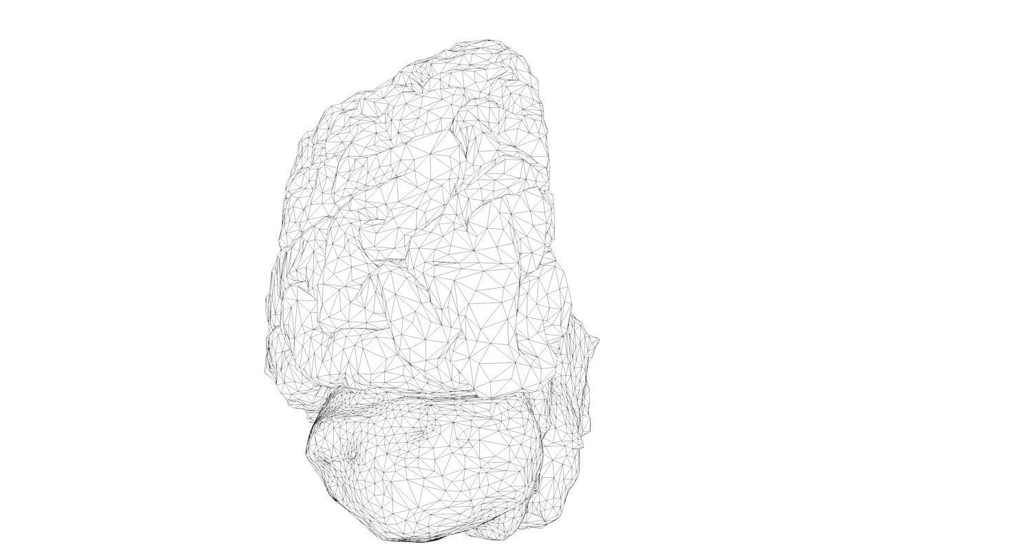 Brain Medically Accurate Brain Anatomy Model High Resolution 3D model_16