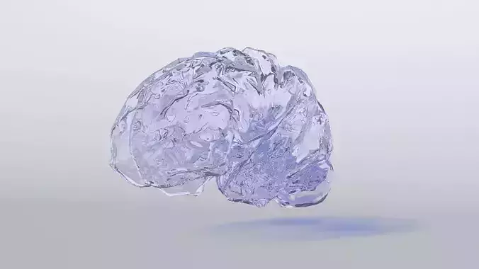 Free Brain Model made of glass Free low-poly 3D model
