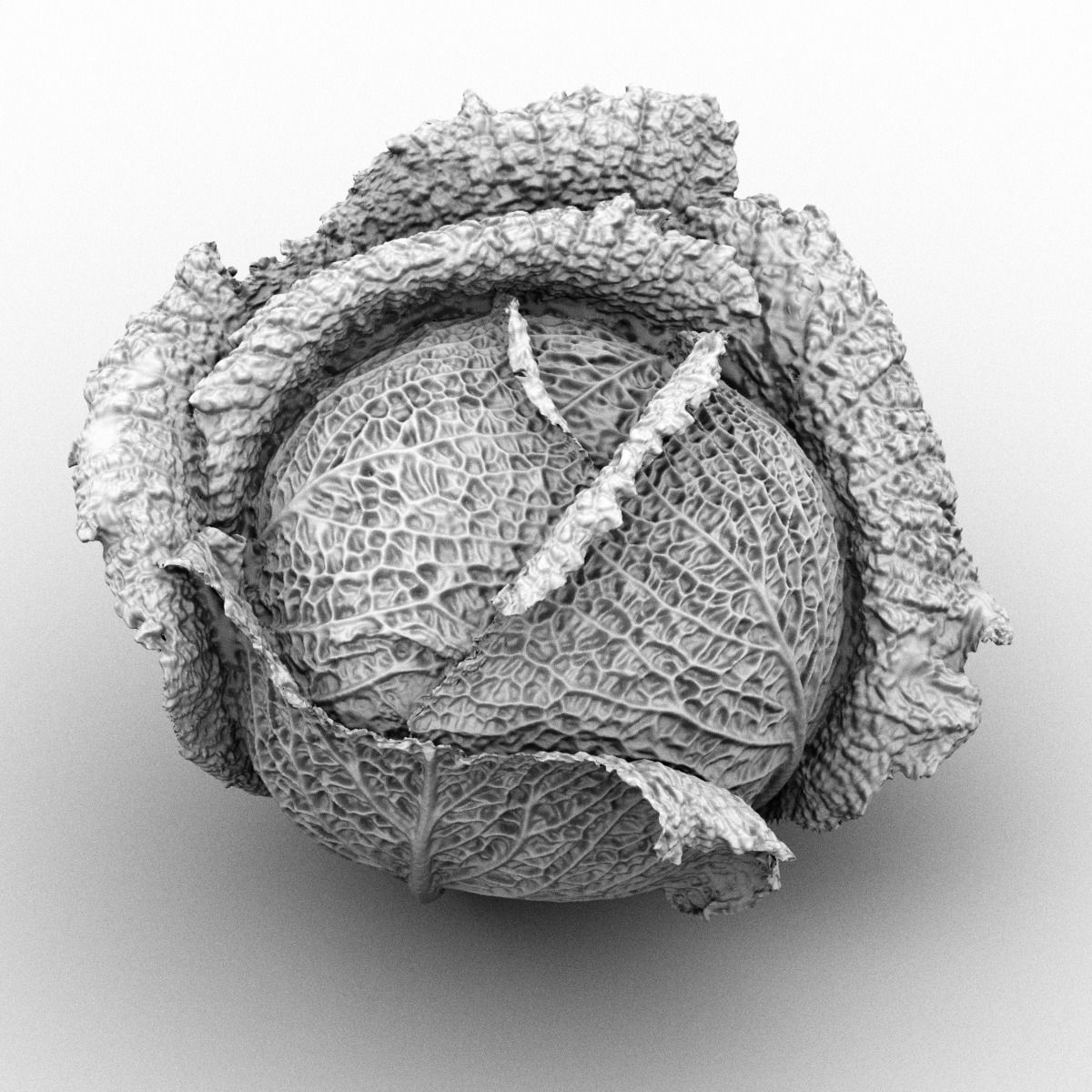 Savoy Cabbage Low-poly 3D model_1