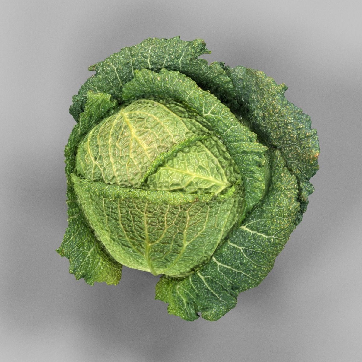 Savoy Cabbage Low-poly 3D model_4