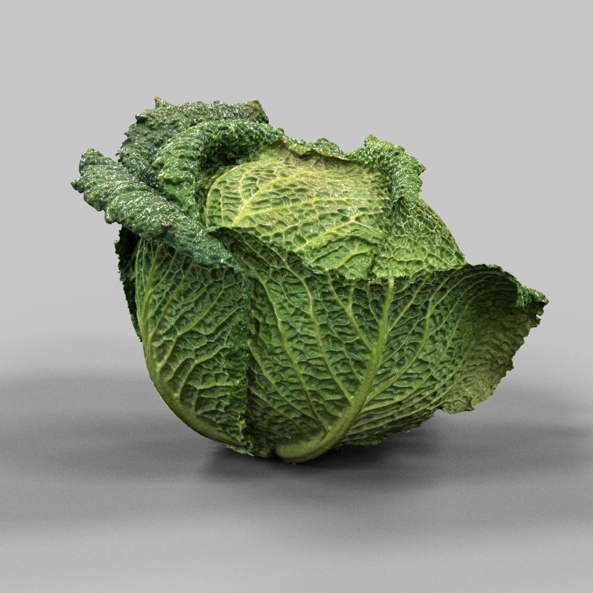 Savoy Cabbage Low-poly 3D model_3