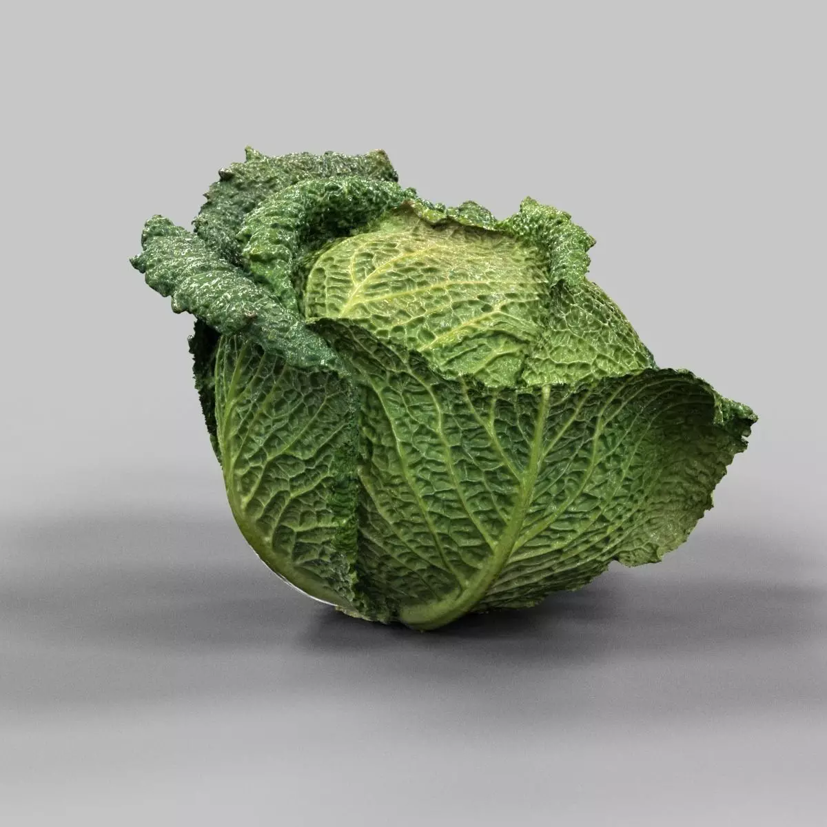 Savoy Cabbage Low-poly 3D model