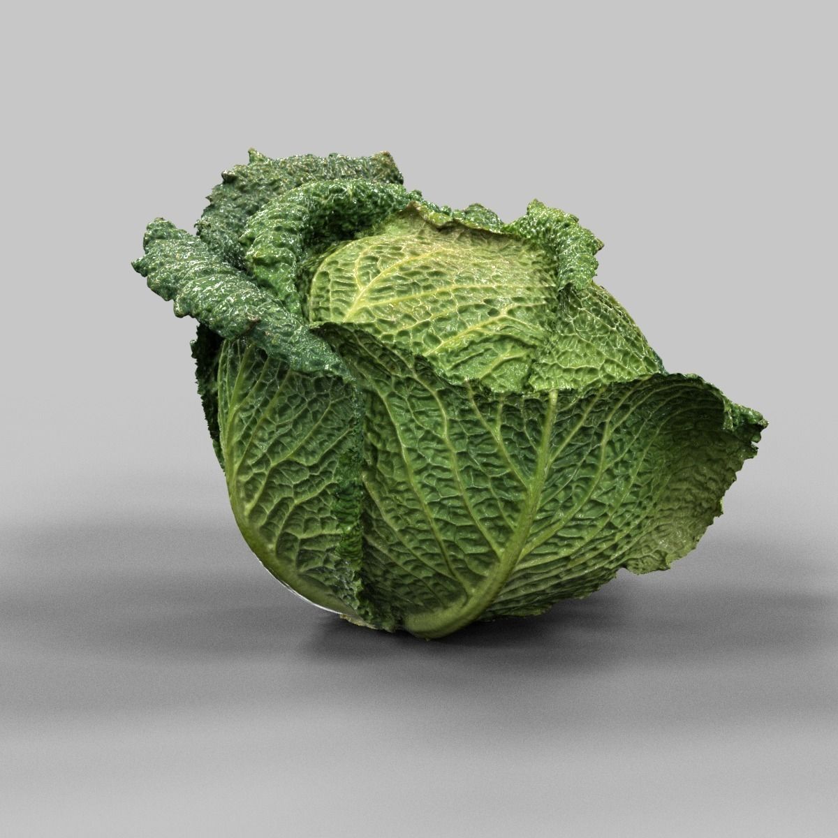 Savoy Cabbage Low-poly 3D model_0