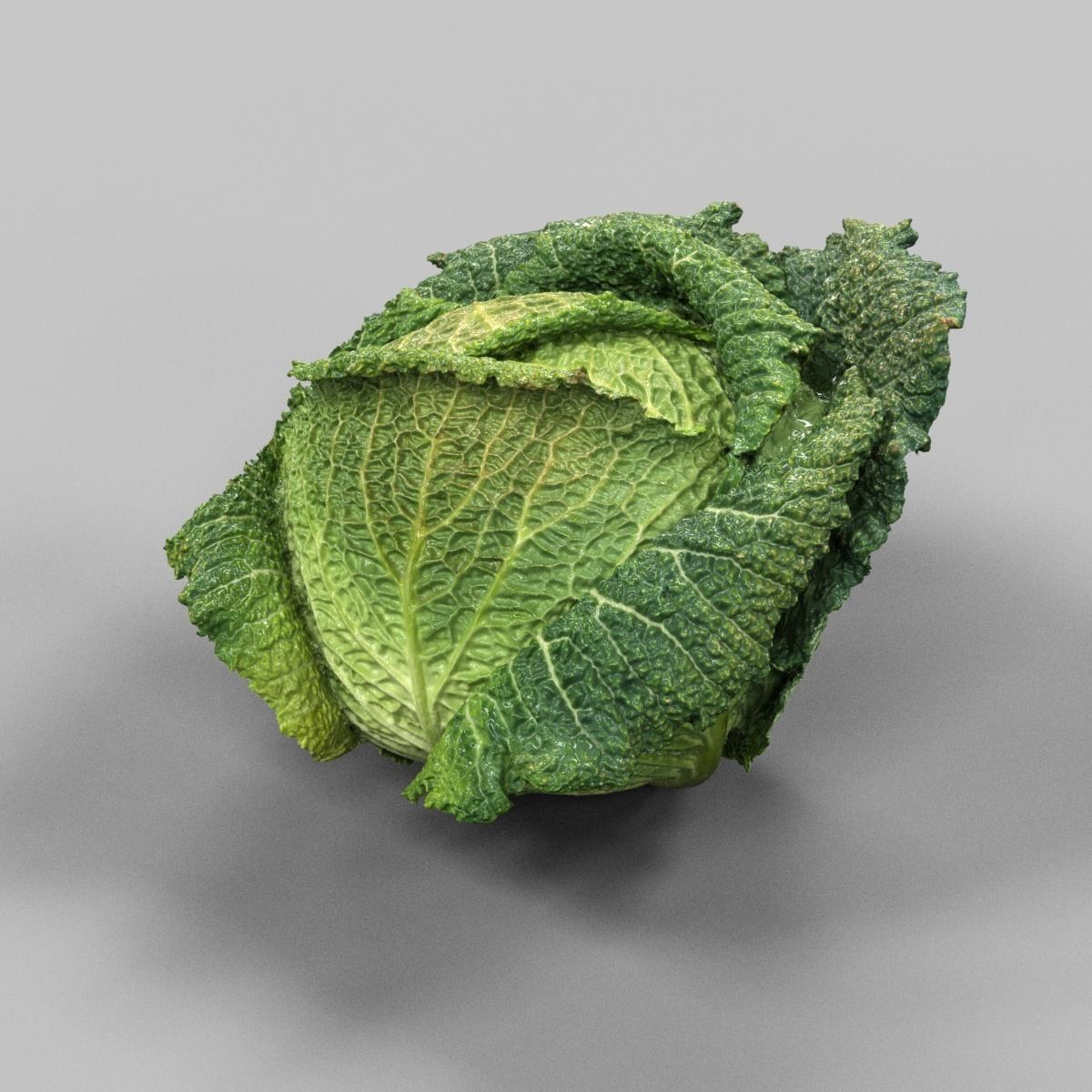 Savoy Cabbage Low-poly 3D model_2