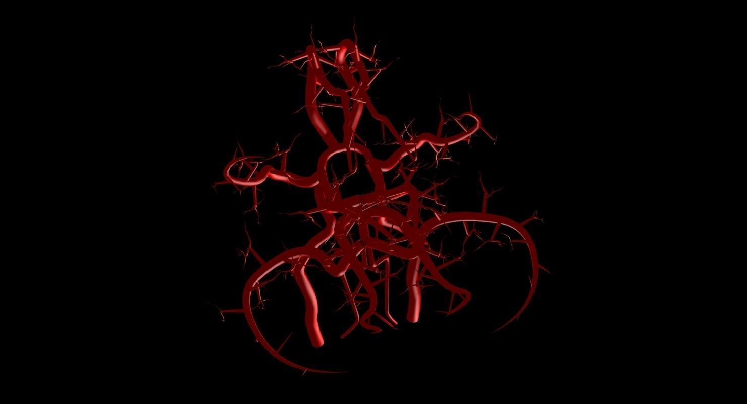 Blood Supply Of Brain - Circle of Willis 3d Model HD Low-poly 3D model_55