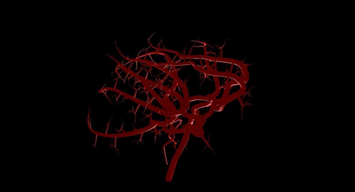 Blood Supply Of Brain - Circle of Willis 3d Model HD Low-poly 3D model_79