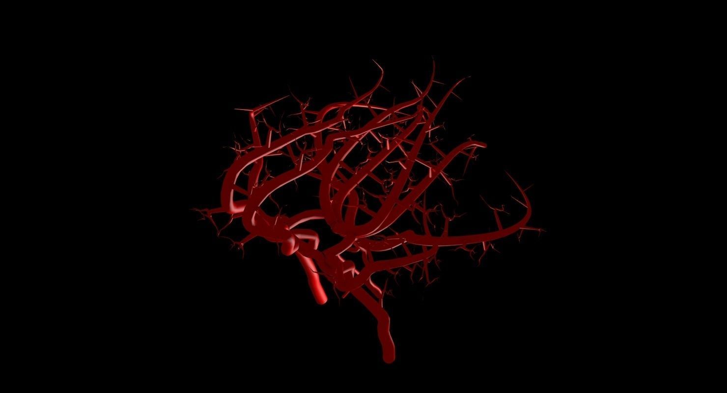 Blood Supply Of Brain - Circle of Willis 3d Model HD Low-poly 3D model_67