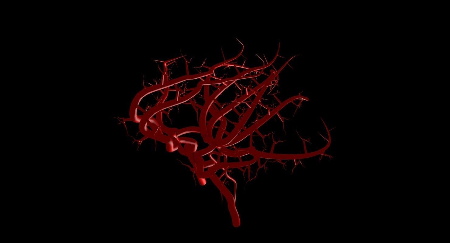 Blood Supply Of Brain - Circle of Willis 3d Model HD Low-poly 3D model_66