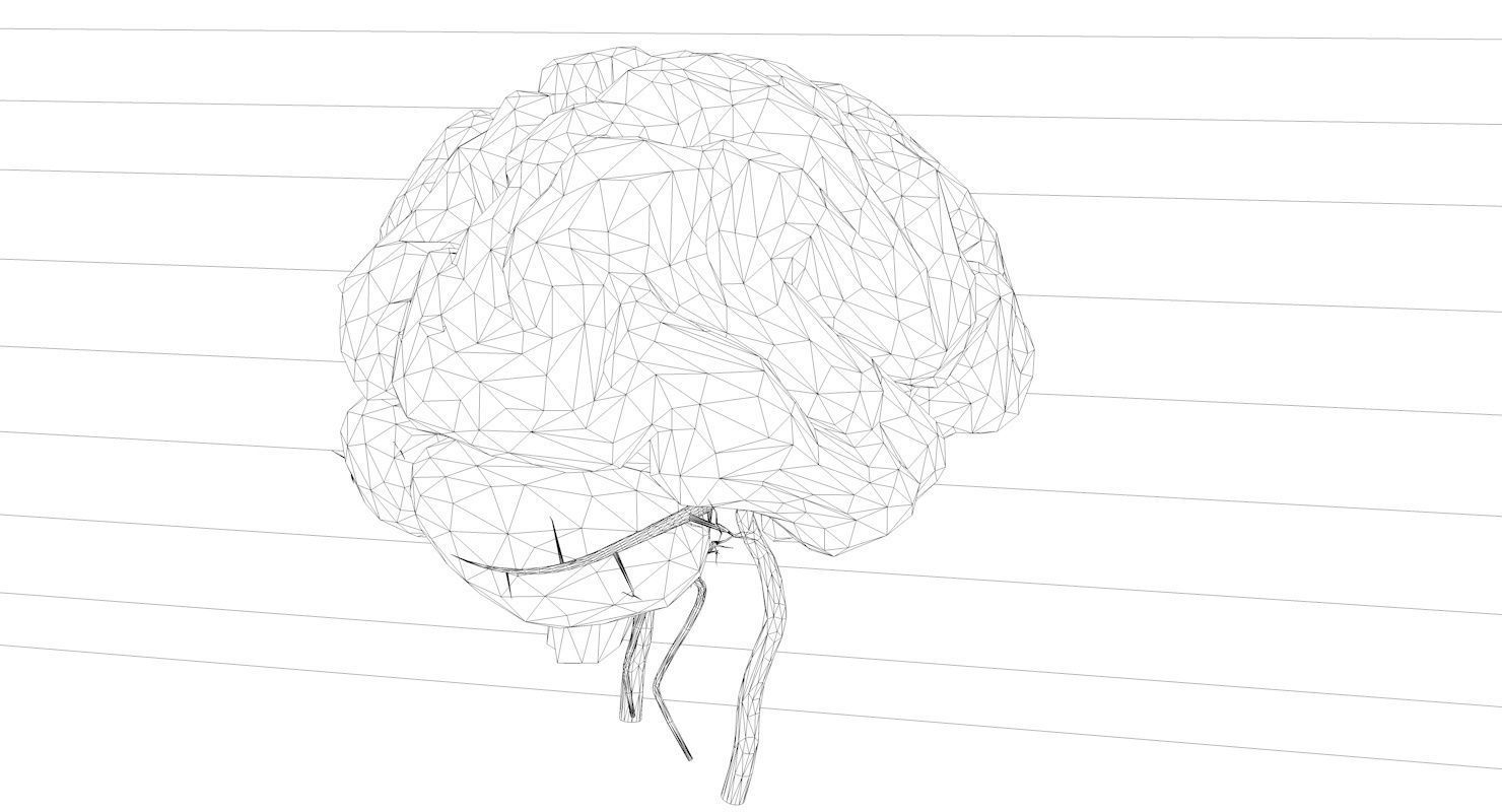 Blood Supply Of Brain - Circle of Willis 3d Model HD Low-poly 3D model_11