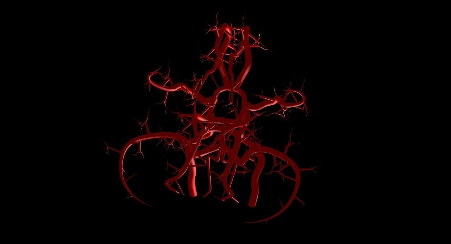 Blood Supply Of Brain - Circle of Willis 3d Model HD Low-poly 3D model_88