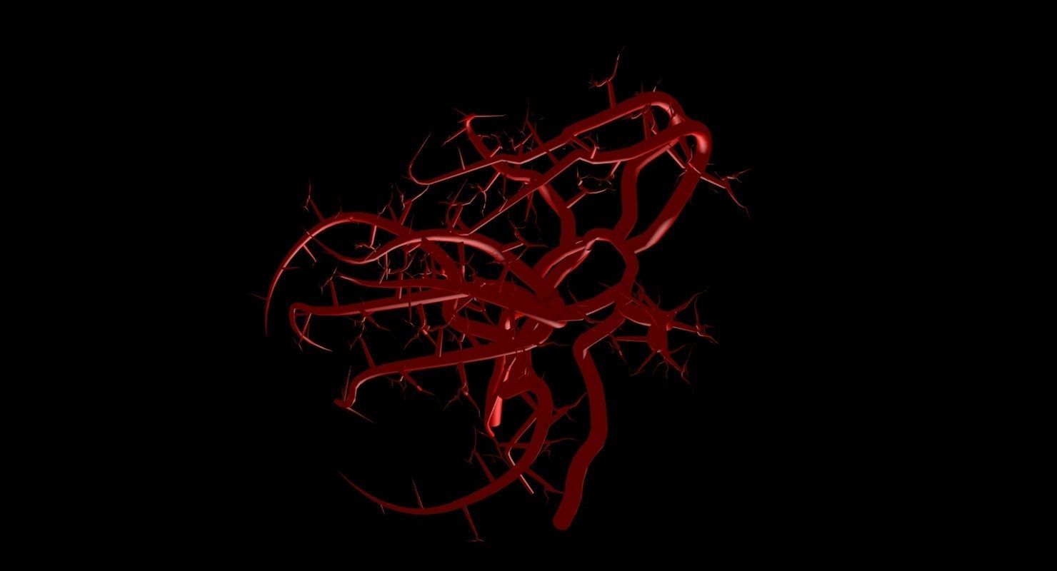 Blood Supply Of Brain - Circle of Willis 3d Model HD Low-poly 3D model_84