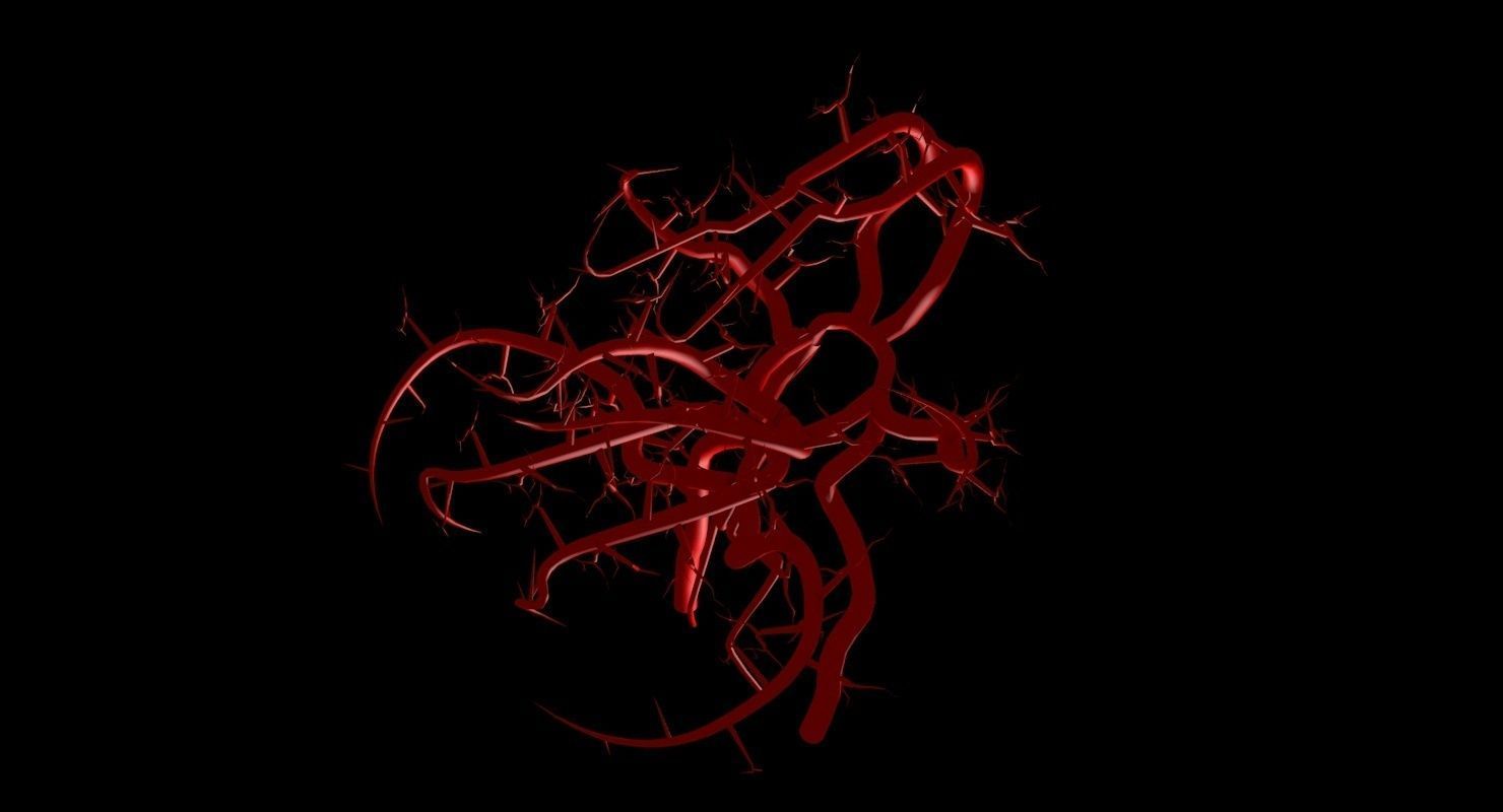 Blood Supply Of Brain - Circle of Willis 3d Model HD Low-poly 3D model_85