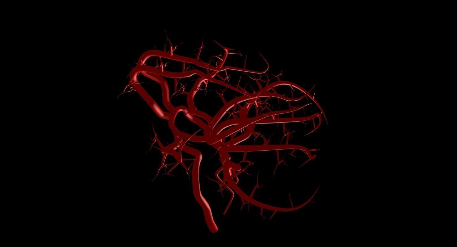 Blood Supply Of Brain - Circle of Willis 3d Model HD Low-poly 3D model_61