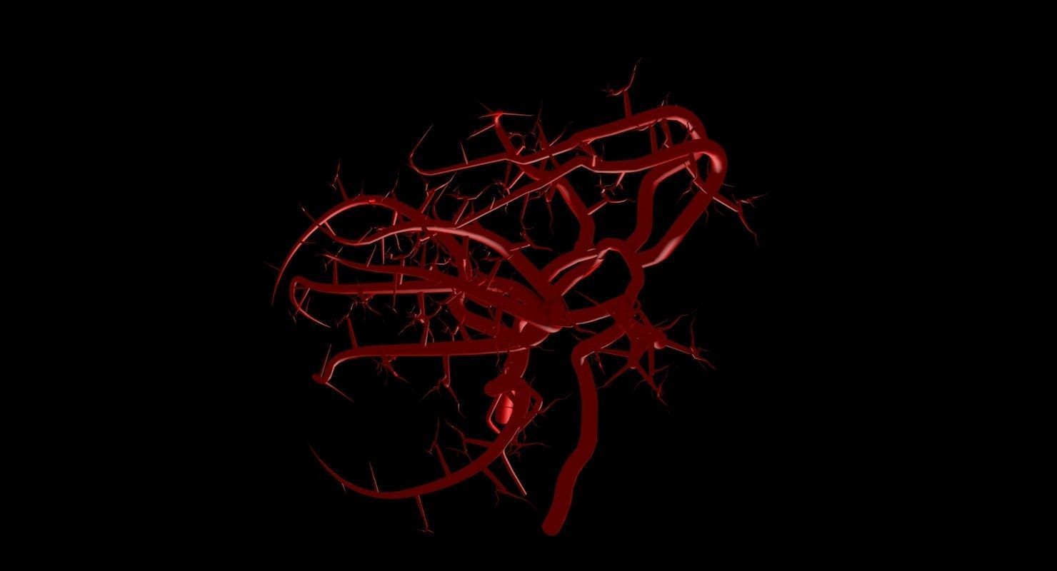 Blood Supply Of Brain - Circle of Willis 3d Model HD Low-poly 3D model_83
