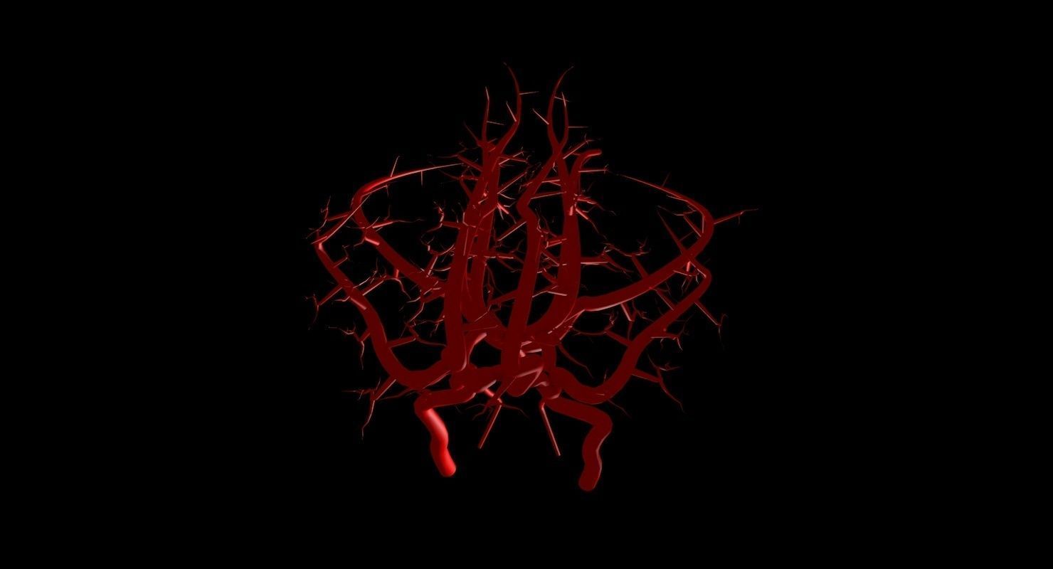 Blood Supply Of Brain - Circle of Willis 3d Model HD Low-poly 3D model_72