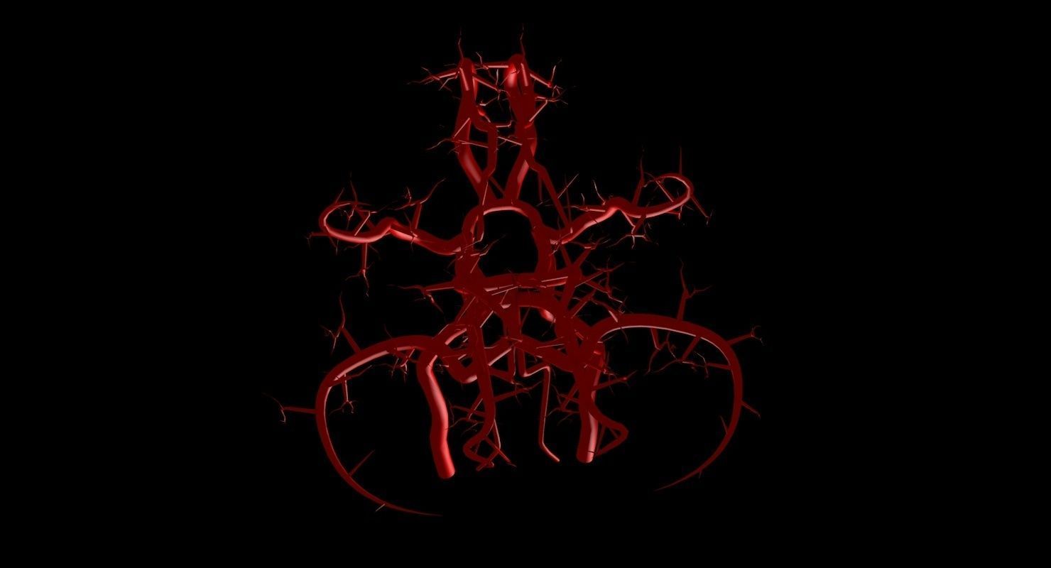 Blood Supply Of Brain - Circle of Willis 3d Model HD Low-poly 3D model_56