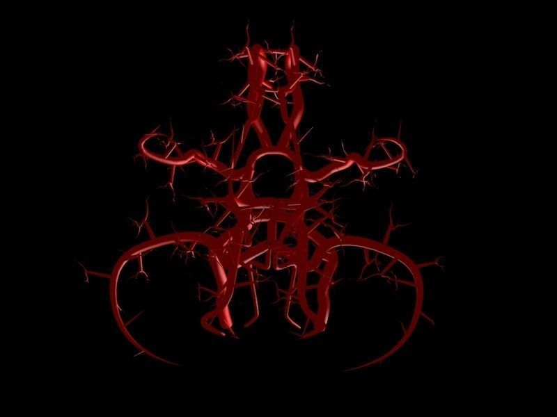 Blood Supply Of Brain - Circle of Willis 3d Model HD Low-poly 3D model_8