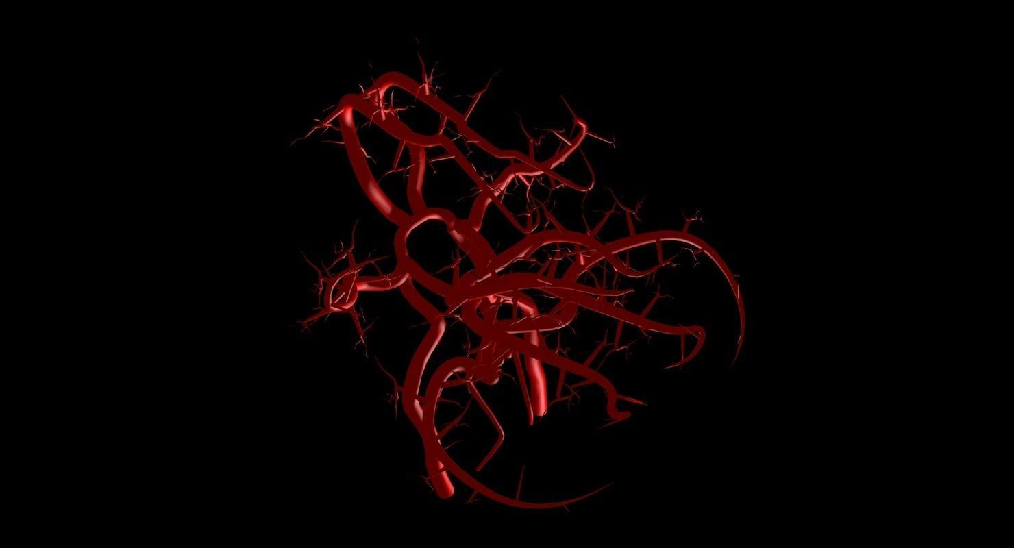 Blood Supply Of Brain - Circle of Willis 3d Model HD Low-poly 3D model_58