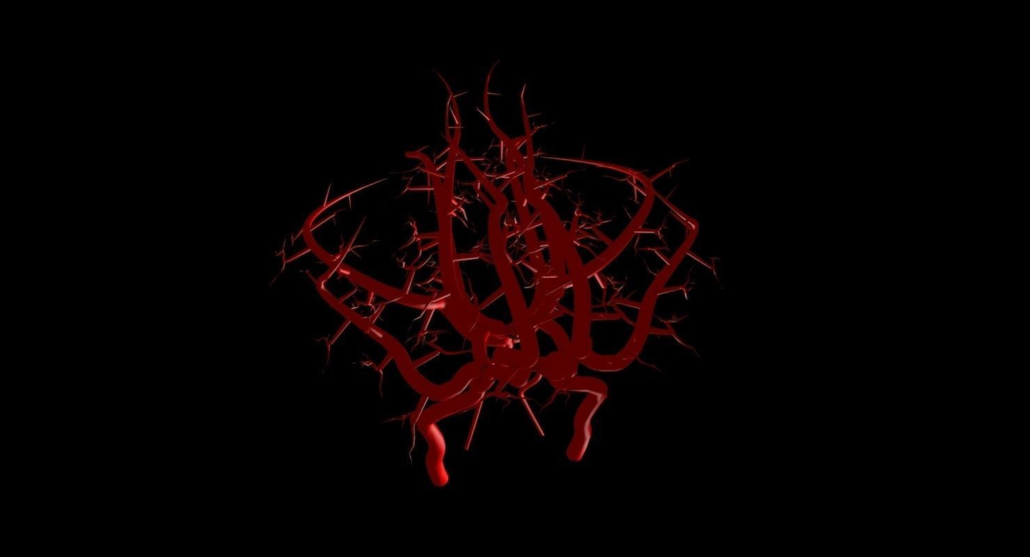 Blood Supply Of Brain - Circle of Willis 3d Model HD Low-poly 3D model_71