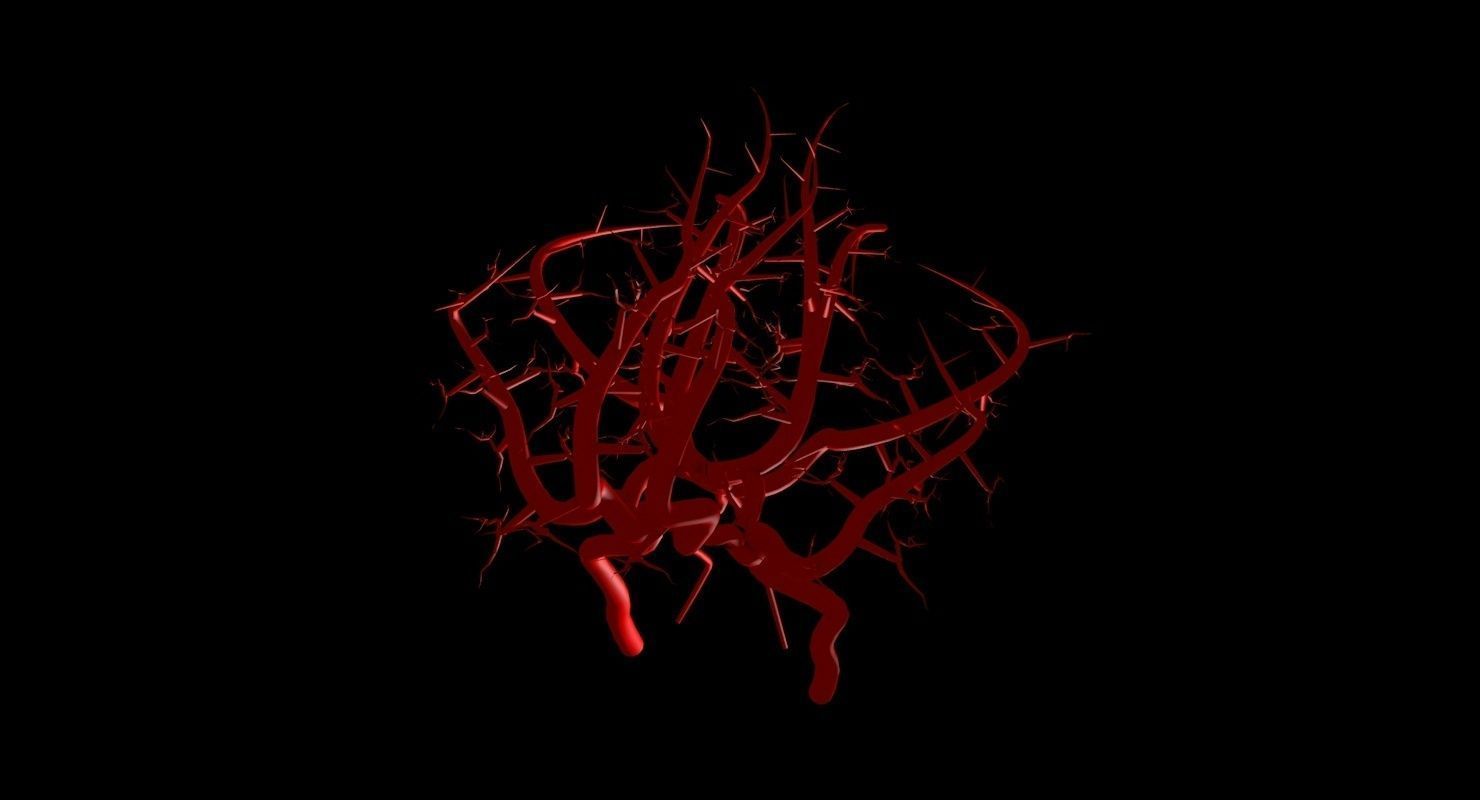 Blood Supply Of Brain - Circle of Willis 3d Model HD Low-poly 3D model_70
