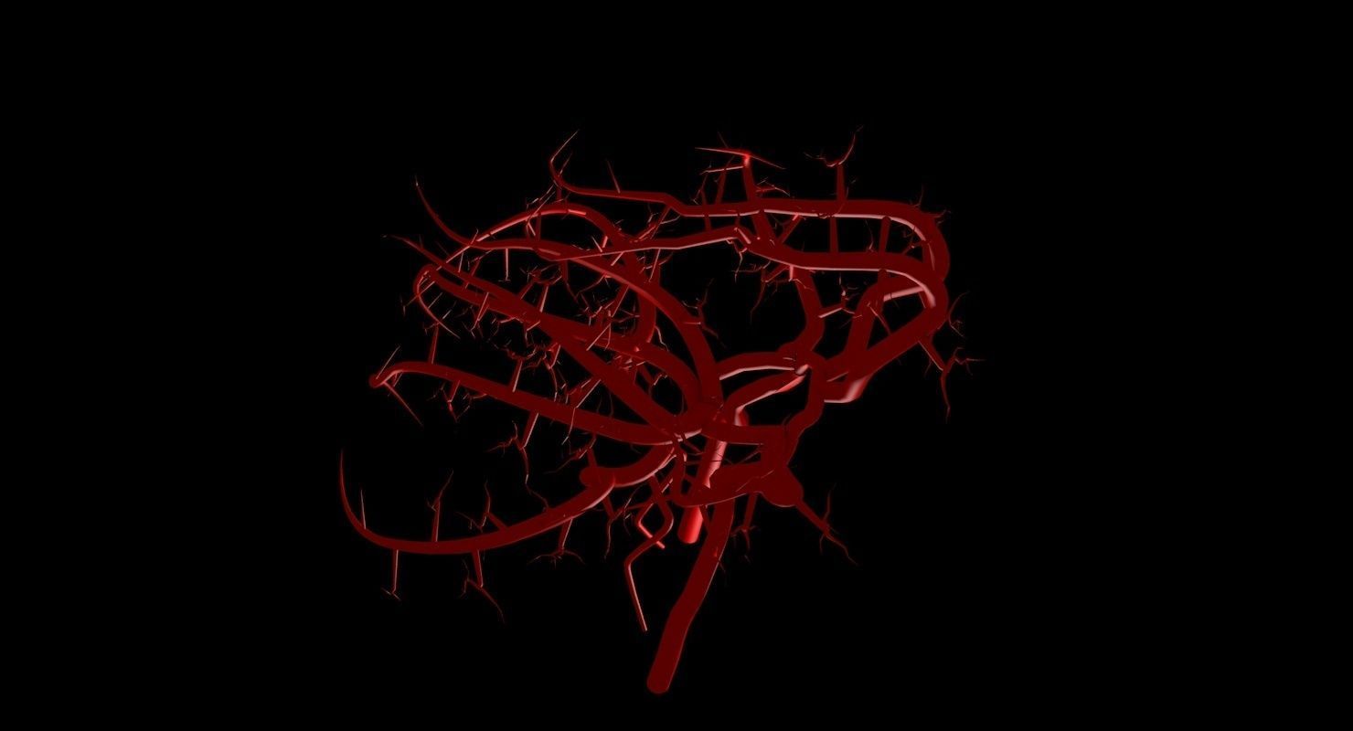 Blood Supply Of Brain - Circle of Willis 3d Model HD Low-poly 3D model_80