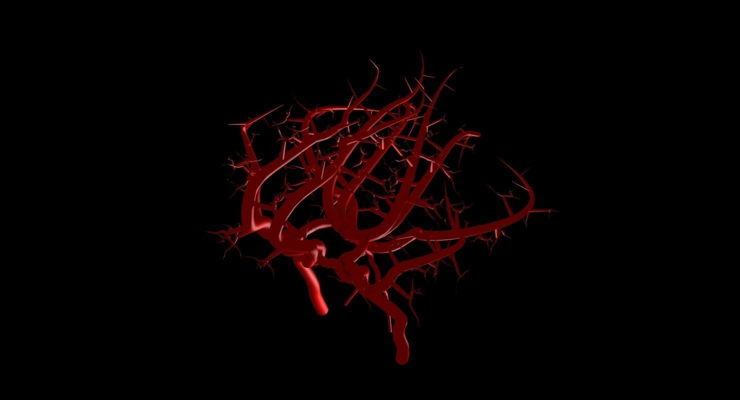 Blood Supply Of Brain - Circle of Willis 3d Model HD Low-poly 3D model_68