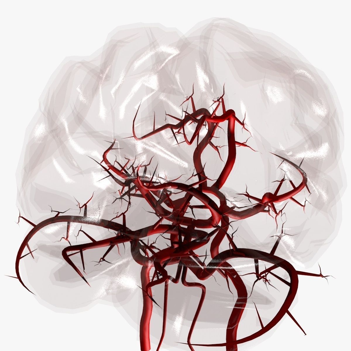 Blood Supply Of Brain - Circle of Willis 3d Model HD Low-poly 3D model_9