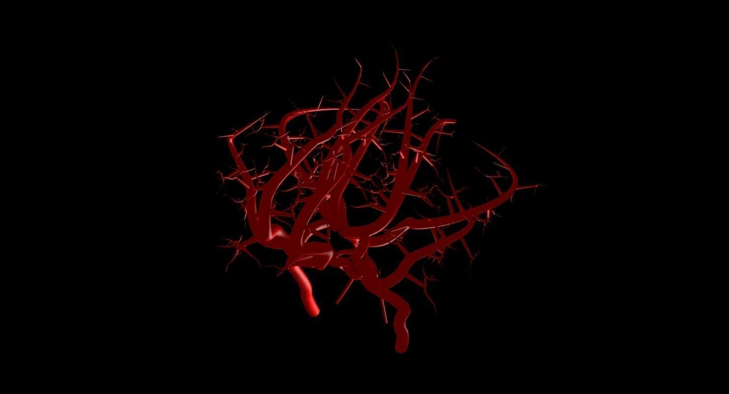 Blood Supply Of Brain - Circle of Willis 3d Model HD Low-poly 3D model_69