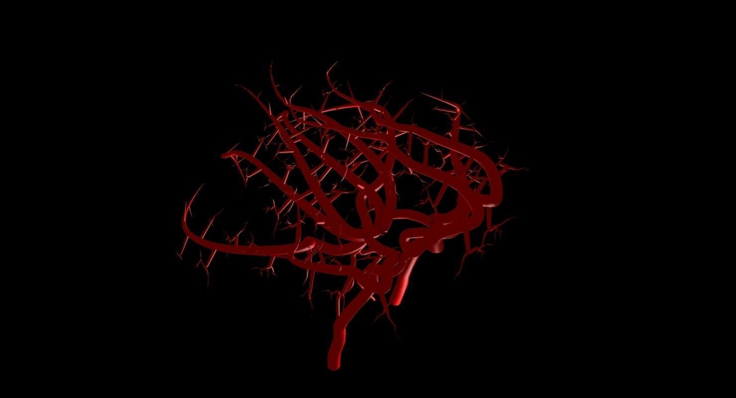 Blood Supply Of Brain - Circle of Willis 3d Model HD Low-poly 3D model_77