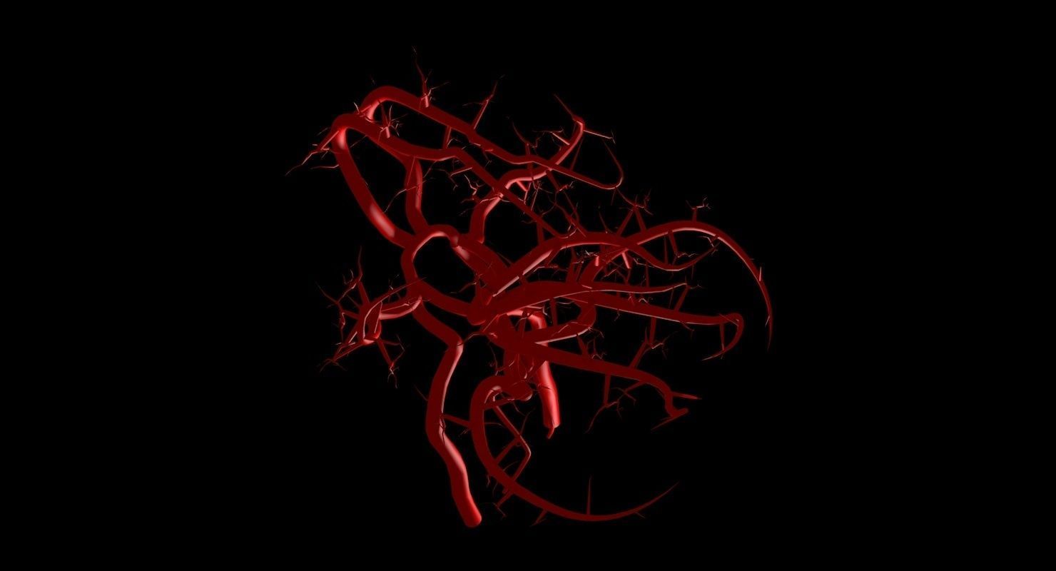 Blood Supply Of Brain - Circle of Willis 3d Model HD Low-poly 3D model_59