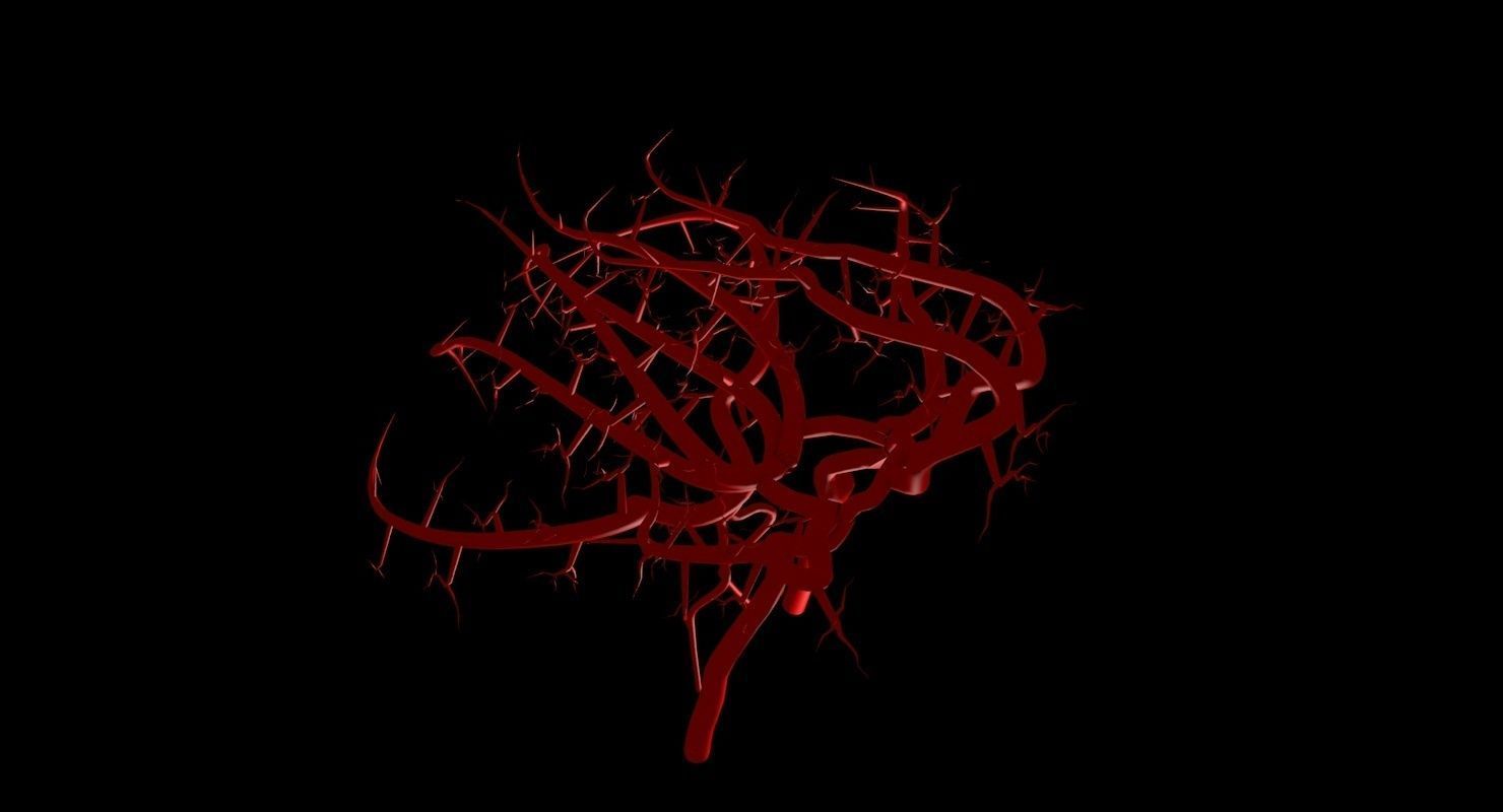 Blood Supply Of Brain - Circle of Willis 3d Model HD Low-poly 3D model_78