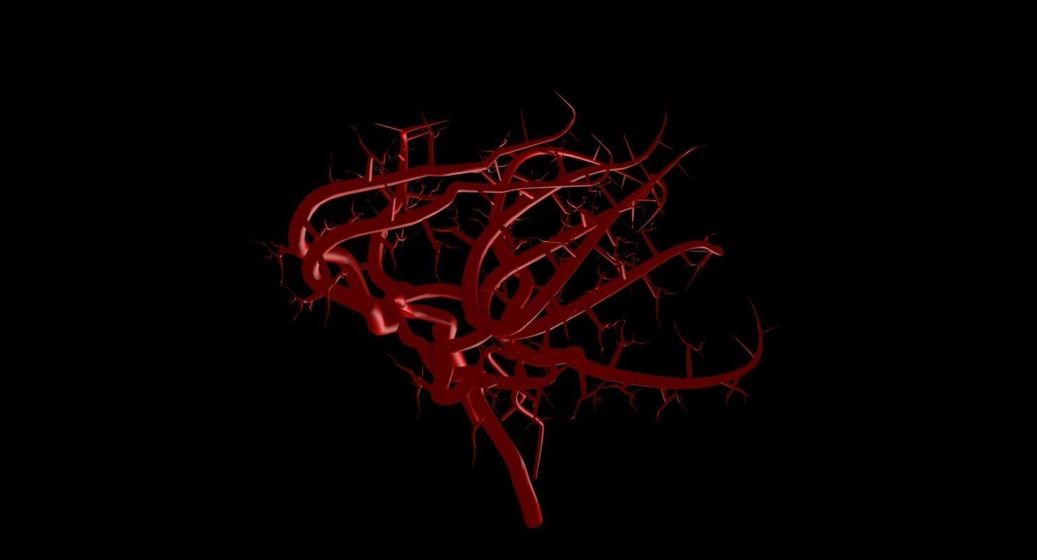 Blood Supply Of Brain - Circle of Willis 3d Model HD Low-poly 3D model_65