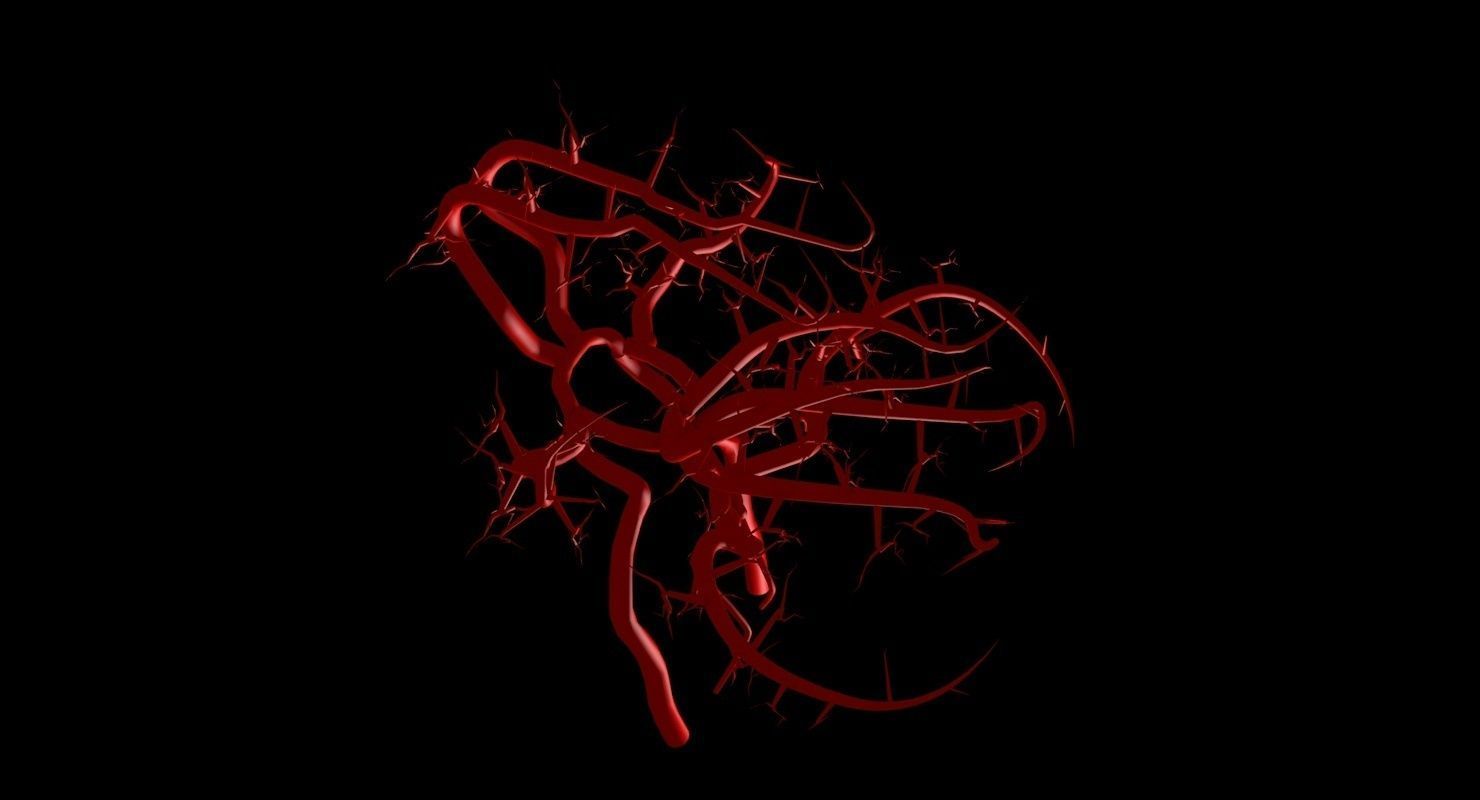 Blood Supply Of Brain - Circle of Willis 3d Model HD Low-poly 3D model_60