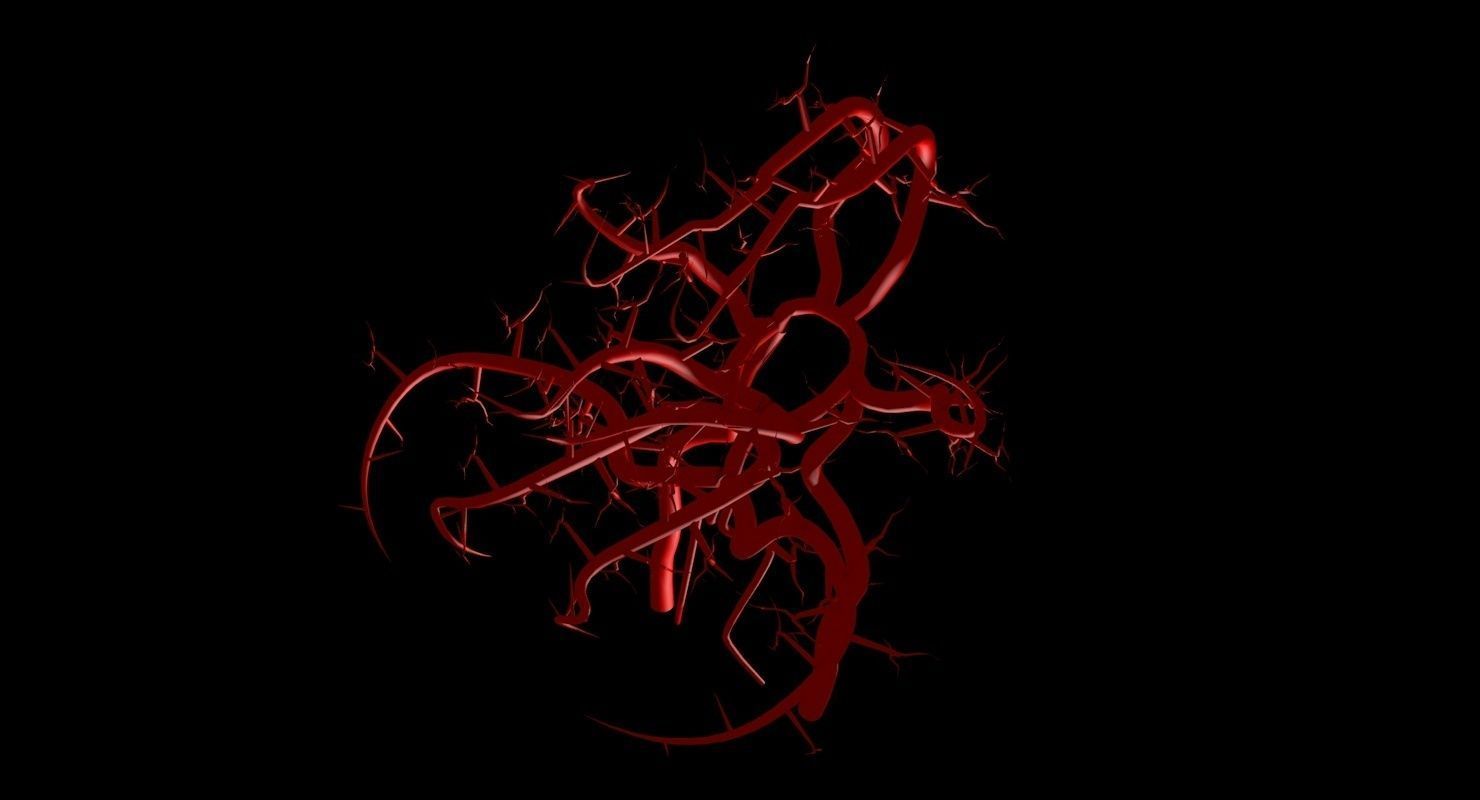 Blood Supply Of Brain - Circle of Willis 3d Model HD Low-poly 3D model_86