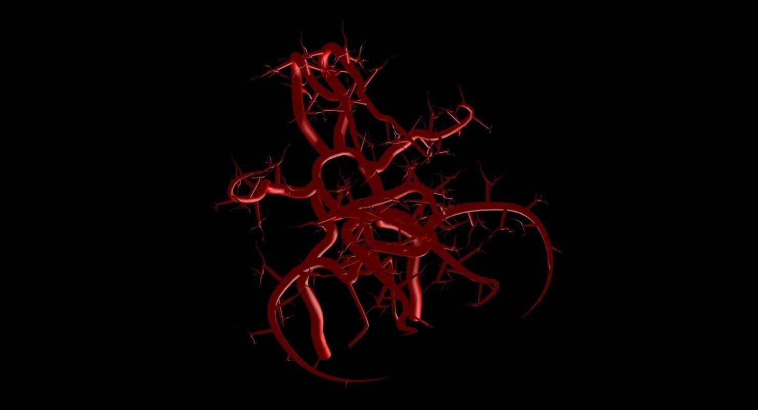 Blood Supply Of Brain - Circle of Willis 3d Model HD Low-poly 3D model_54