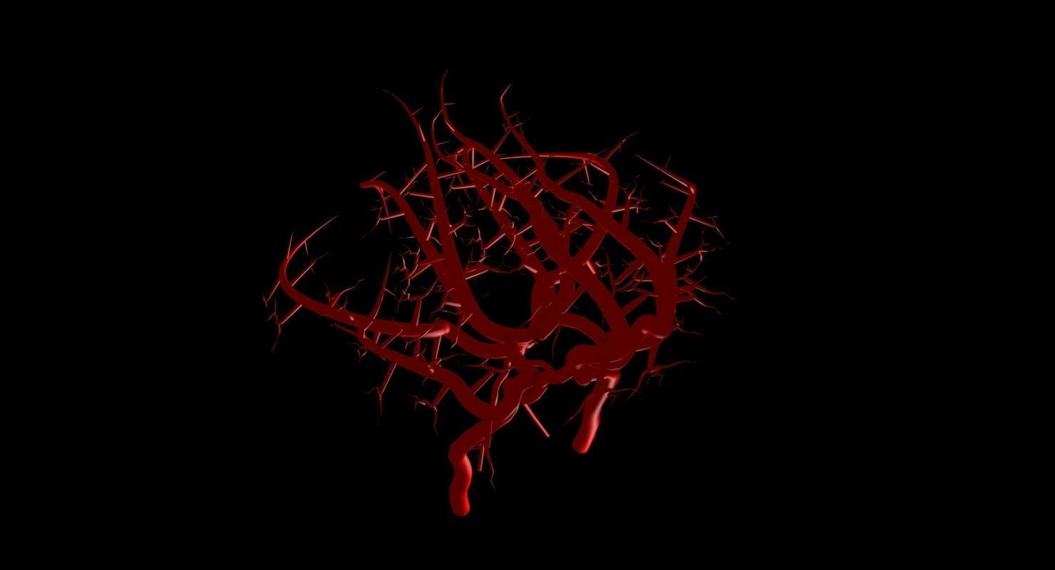 Blood Supply Of Brain - Circle of Willis 3d Model HD Low-poly 3D model_75