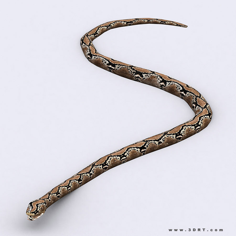 3DRT - Birds and Critters Low-poly 3D model_27