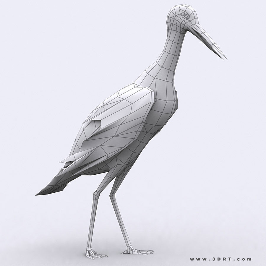 3DRT - Birds and Critters Low-poly 3D model_16