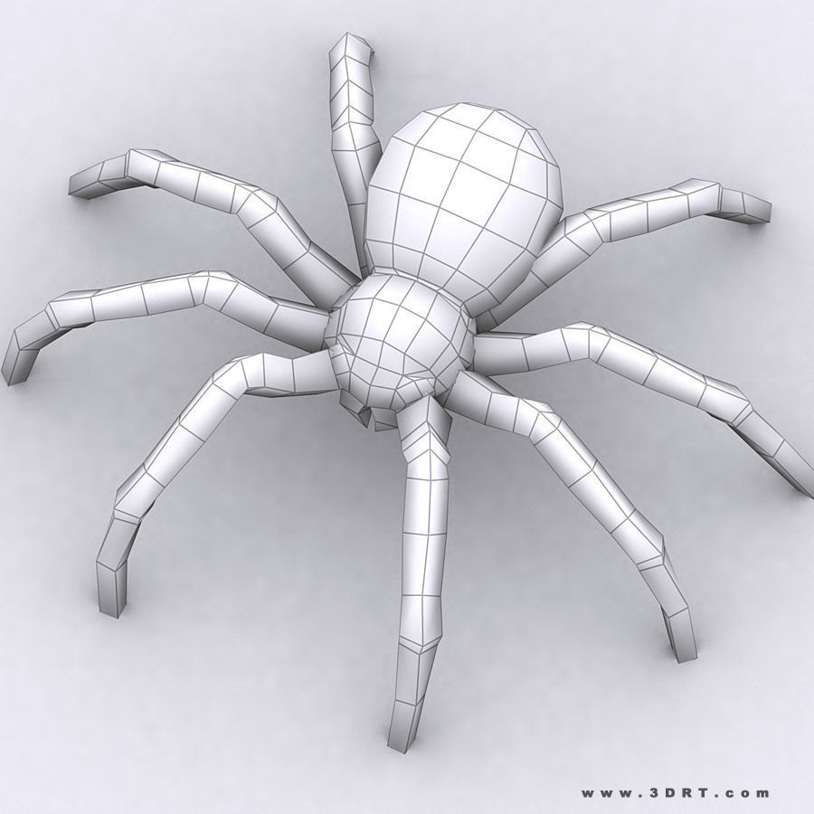 3DRT - Birds and Critters Low-poly 3D model_26