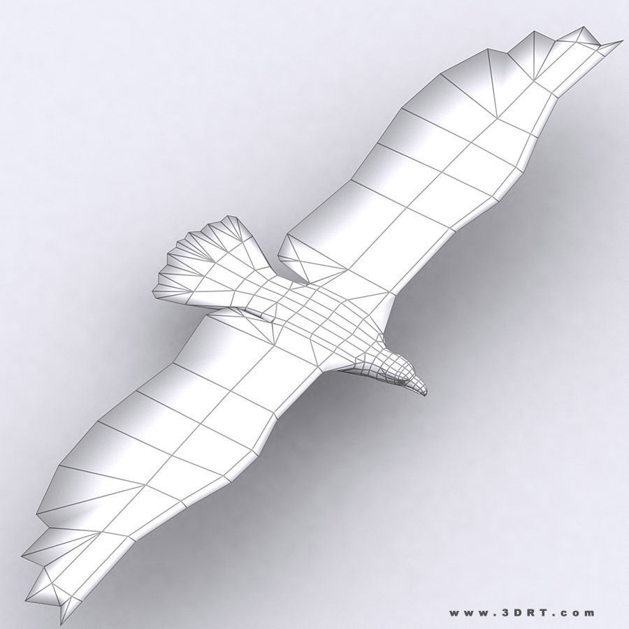 3DRT - Birds and Critters Low-poly 3D model_4