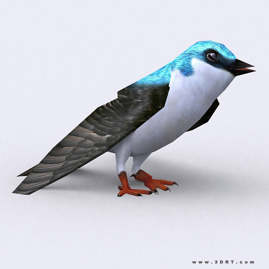 3DRT - Birds and Critters Low-poly 3D model_17