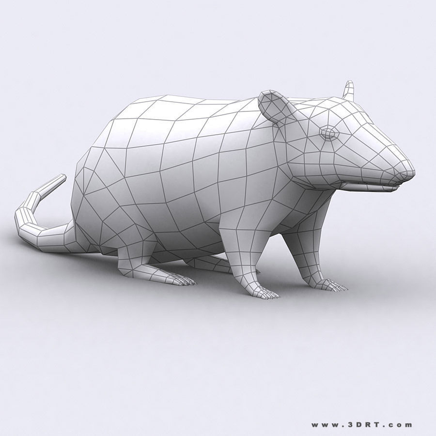 3DRT - Birds and Critters Low-poly 3D model_37