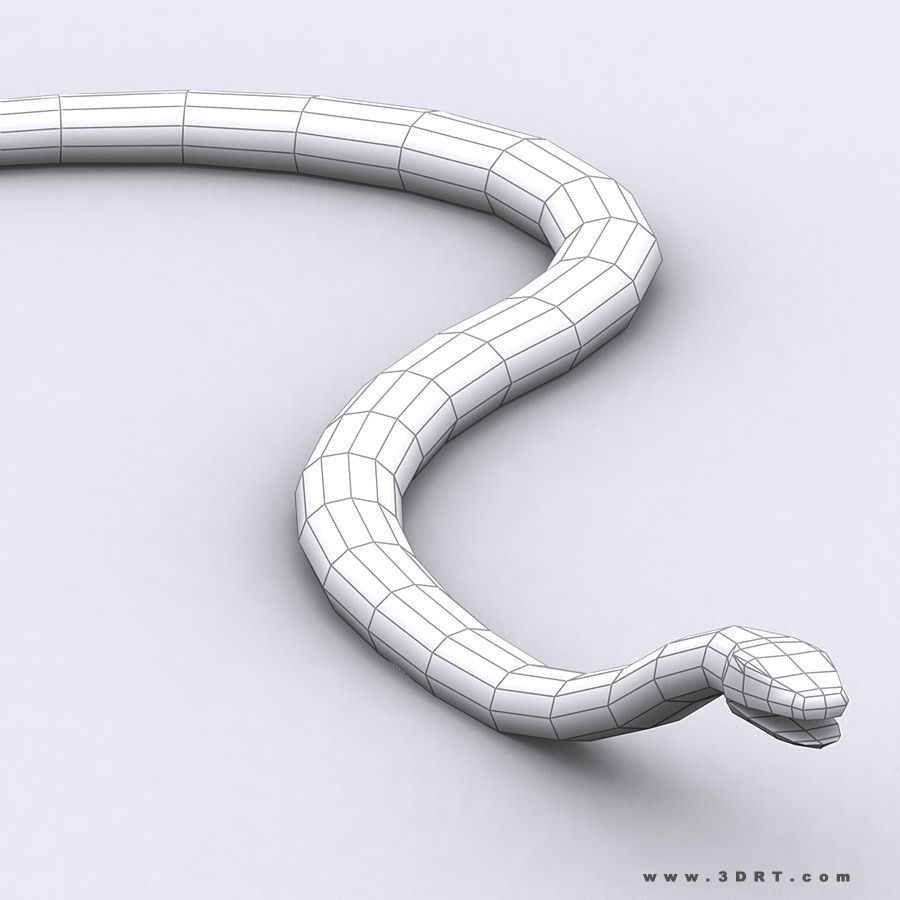 3DRT - Birds and Critters Low-poly 3D model_29