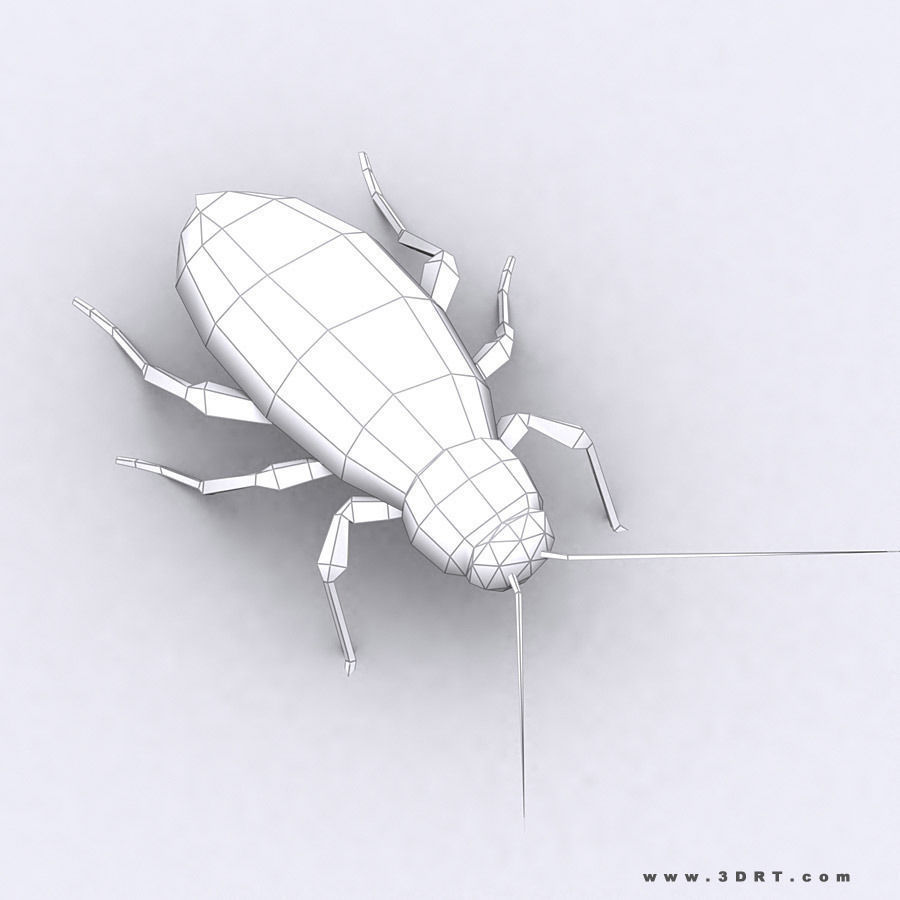 3DRT - Birds and Critters Low-poly 3D model_31