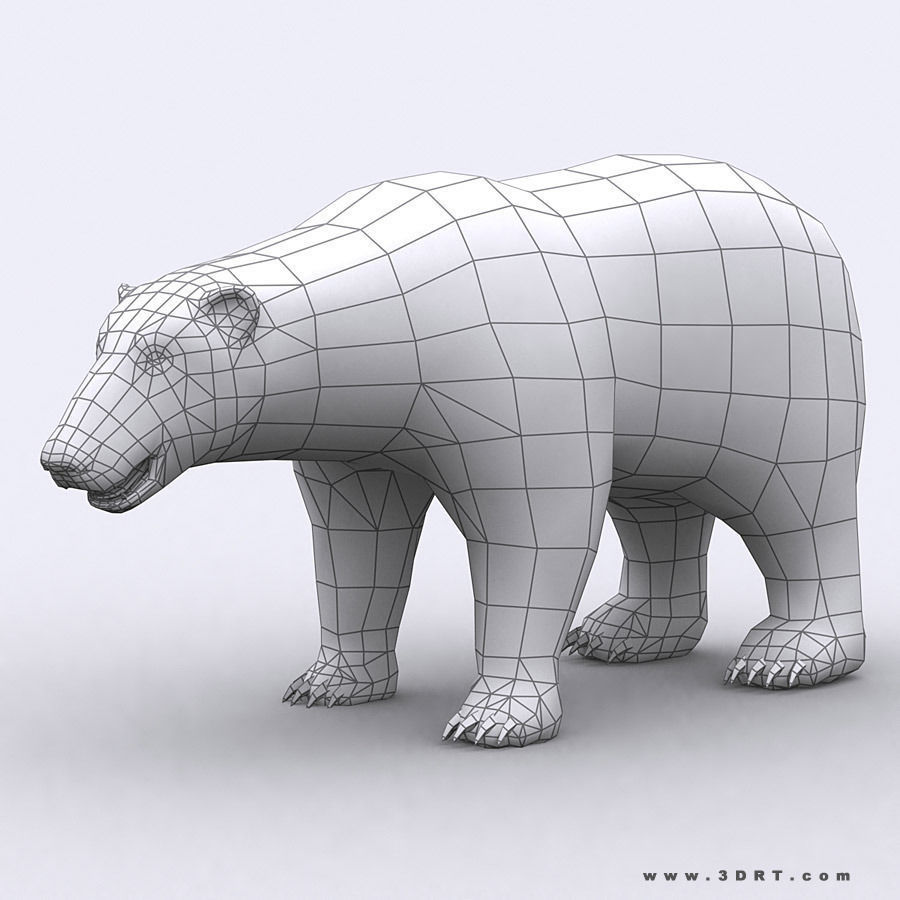 3DRT - Wild Animals Low-poly 3D model_22